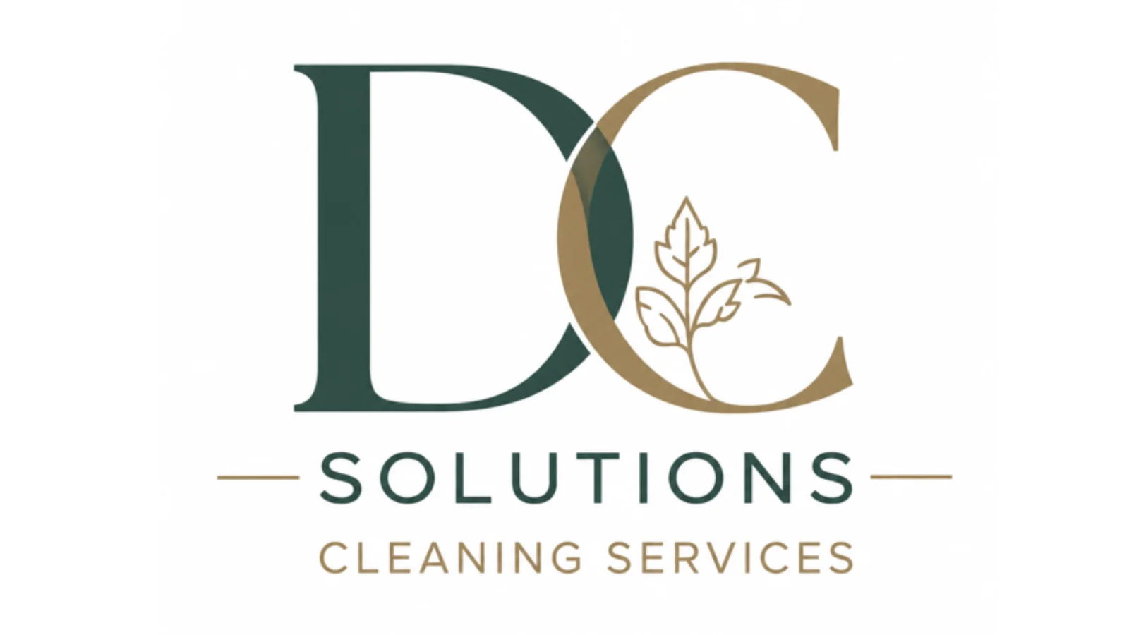 DC Cleaning Solutions logo