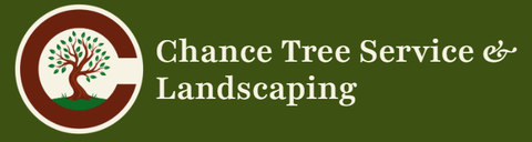 T&T Tree Service & Landscape logo